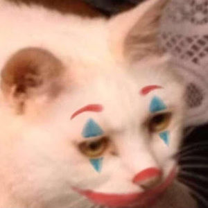 Meet your Posher, Connor